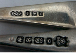 ECo1 ECo1